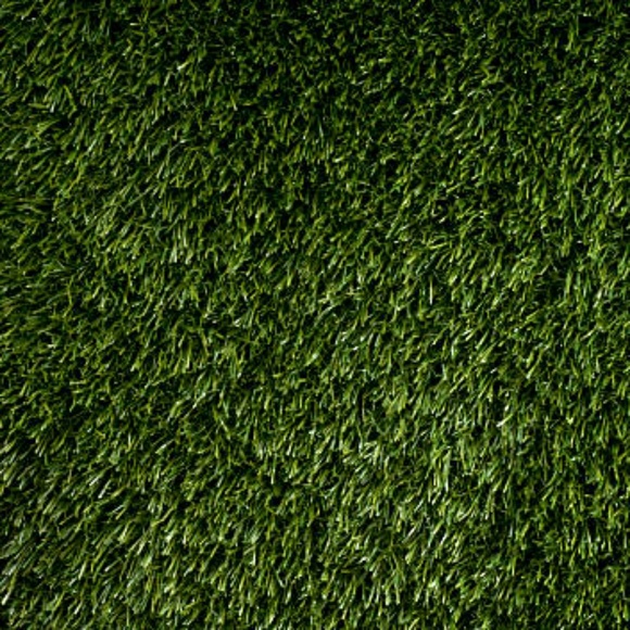 Meet your Posher, Shannon - Picture 1 of 1